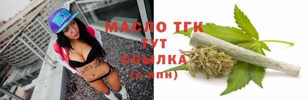 гидра Краснослободск