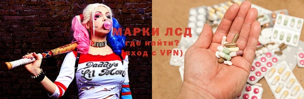 гидра Краснослободск