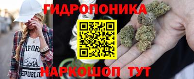 Альфа ПВП Заволжье