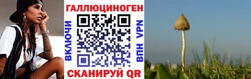 это Telegram  блэк спрут ТОР  Магадан  Псилоцибиновые грибы Psilocybe 