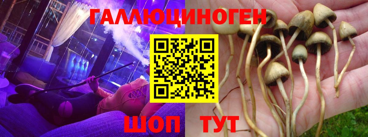 Магадан  Галлюциногенные грибы мухоморы  Вход с VPN 